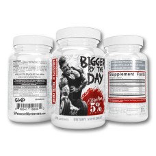 RICH PIANA 5% NUTRITION BIGGER BY THE DAY 120CAPS